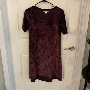 Dress Barn Velvet Dress